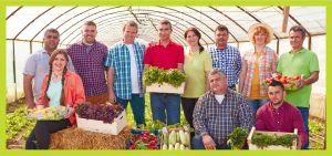cooperativa carrefour