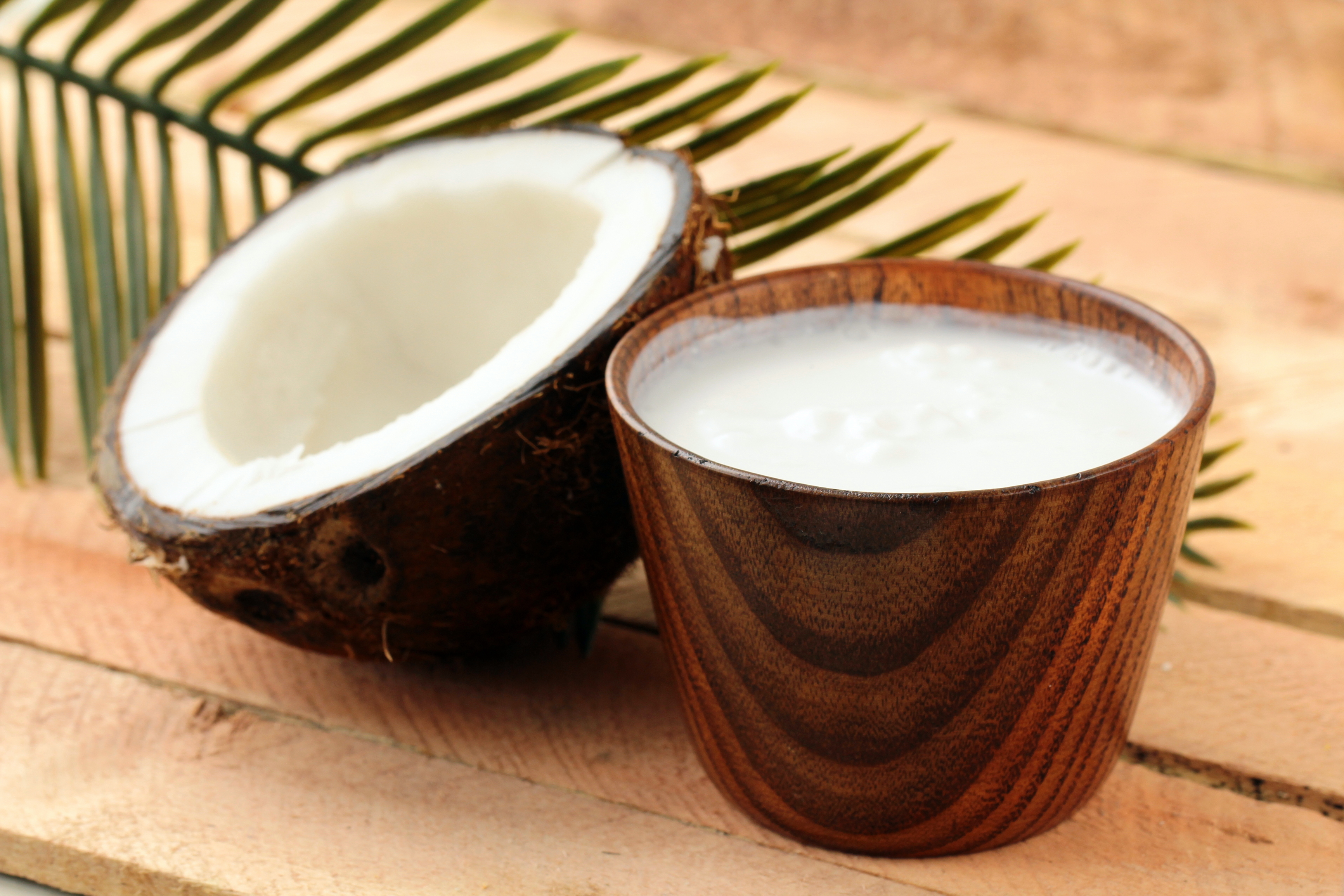 cocos