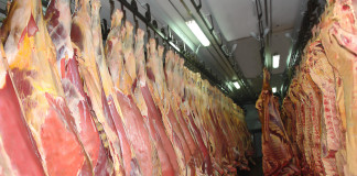 Numarul bovinelor sacrificate a scăzut cu 11,1%
