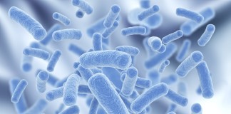 Tehnologii inovatoare pentru deshidratarea probioticelor bacterii