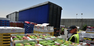 Cojocaru (APRIL): Statul ar trebui sa finanteze analizele pentru alimentele din import import 1, standarde