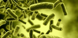 ANSVSA – actiuni si rezultate partiale in cazul anchetei epidemiologice desfasurate de Ministerul Sanatatii controale