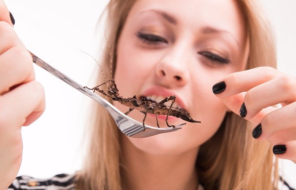 EFSA – De la laborator la masă: Cum reglementează diferite piețe alimentele noi insecte_omega_3