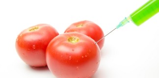 Procesatorii de alimente beneficiaza de noi extracte de conservanti naturali conservanti_naturali