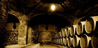 Pentru un vin bun ai nevoie de un miros de caine vin