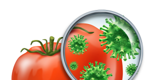 Ecolab: Curatenia, o prioritate in industria alimentara igiena_alimente, alimentare, reziduuri, maxime