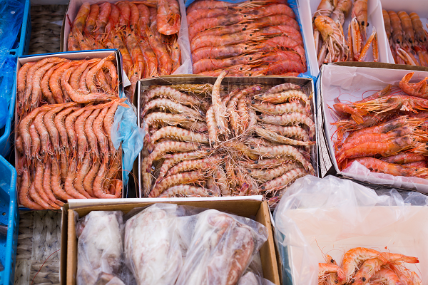 Ocean Fish