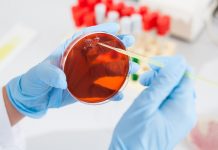 Șapte start-up-uri care pot schimba următorul val de inovație alimentară