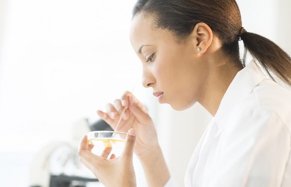 CE luptă împotriva fraudei privind alimentele ecologice cu un nou test pesta_porcina_africana1
