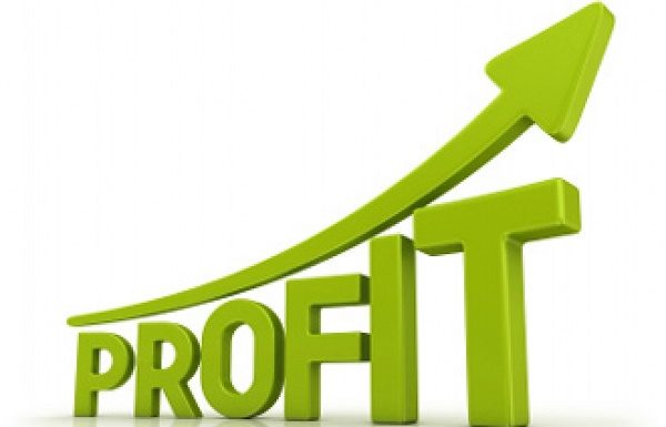 Luchi Georgescu a avut anul trecut un profit de aproape trei ori mai mare din productia de mezeluri echipamentelor