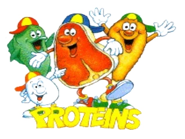 proteine proteine1