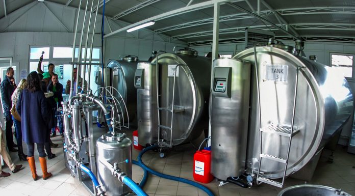 Uniunea Întreprinderilor de Produse Lactate din Ucraina se teme de o penurie de lapte și de închiderea fabricilor de lapte