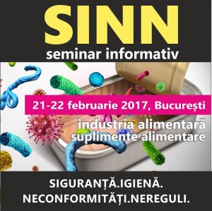 sinn banner-300x300
