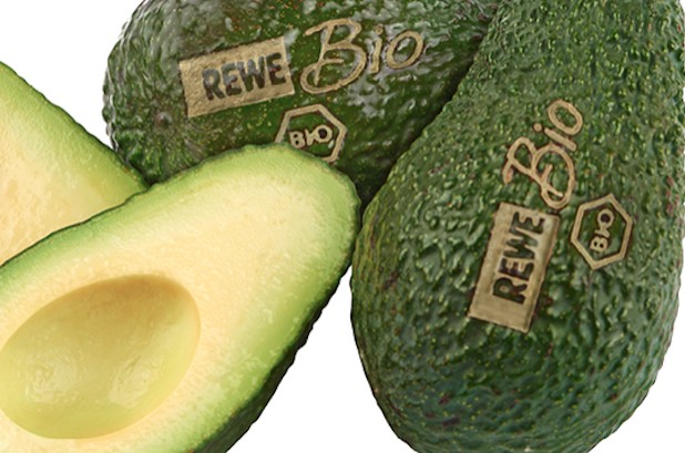 Rewe Rewe1