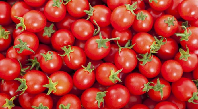 Controlul tomatelor. Câte probe prezentau reziduuri de pesticide tomata