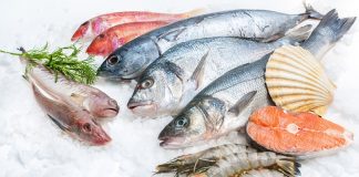 Ce este „sardinemaxxing”? De ce au devenit sardinele noul aliment-vedetă produse pescaresti
