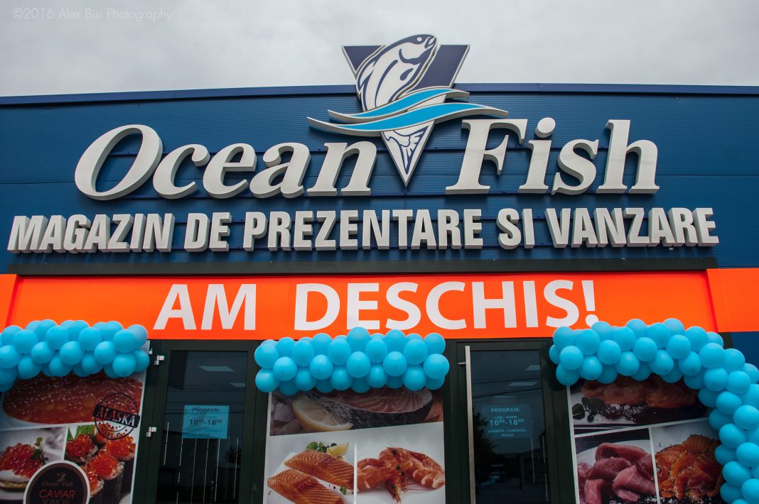 Ocean Fish1 Ocean