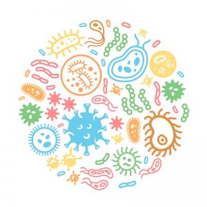 virus