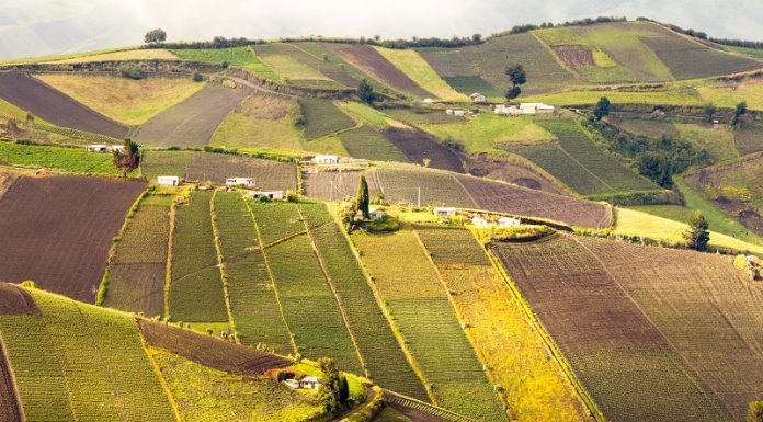 Va fi ocolită România de criza alimentelor declanșată de război? fiscale