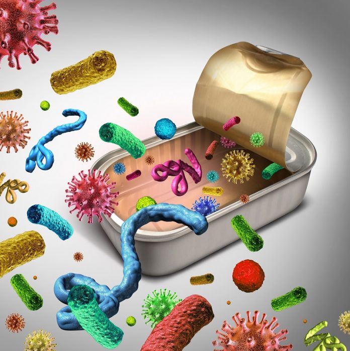 salmonella salmonella1