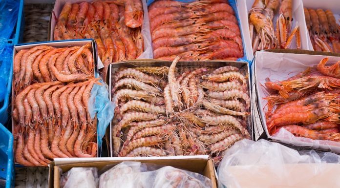 Bacteriile Vibrio din fructele de mare: risc crescut din cauza schimbărilor climatice și a rezistenței antimicrobiene