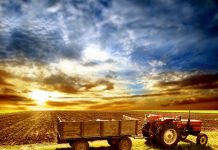 Șase moduri în care o Europă tot mai fierbinte schimbă industria alimentară și a băuturilor agricola, INS