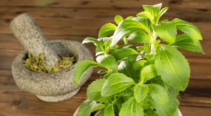 O compoziție de stevia rentabilă