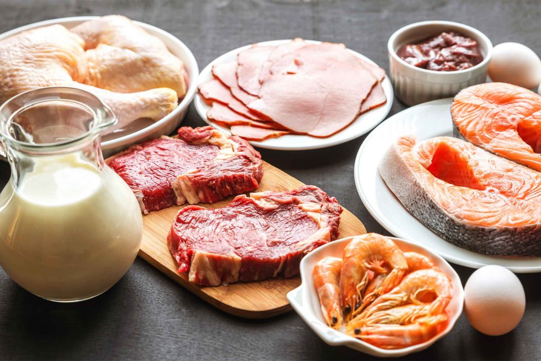 proteinelor