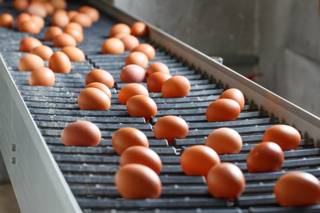 fipronil