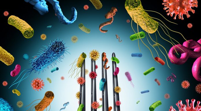 UE înăsprește controalele asupra Listeria, prezentând noi provocări industriei alimentare contaminate