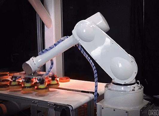 robot alimentar robotizare