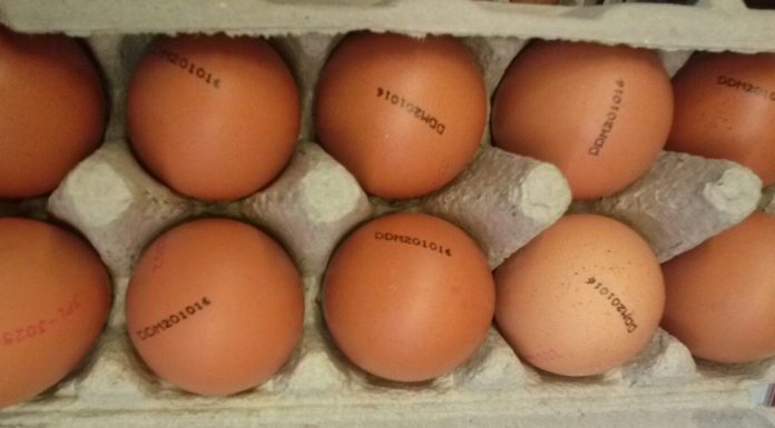 Ungaria renunţă la plafonarea preţurilor produselor alimentare, de la 1 iulie