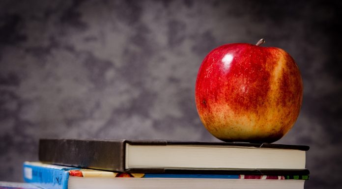A fost aprobat programul pentru scoli pentru anul scolar 2018-2019