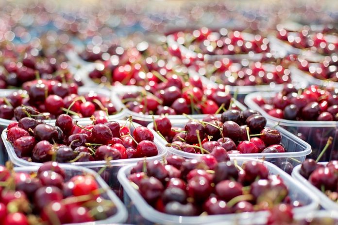 cherries-1433525_1280