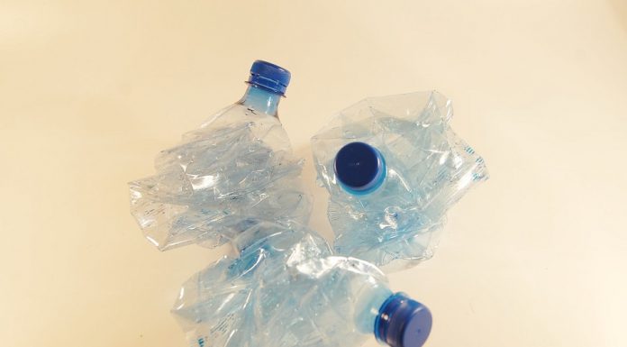 Ambalaje care se compostează la temperatura mediului ambiant