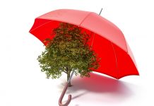 Din 27 septembrie, „prietenos cu mediul”, „verde” sau „neutru climatic” nu mai pot apărea pe etichete fără dovezi. Ce trebuie să verifice acum producătorii de alimente și retailerii pe ambalaje, raft și site