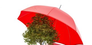 Din 27 septembrie, „prietenos cu mediul”, „verde” sau „neutru climatic” nu mai pot apărea pe etichete fără dovezi. Ce trebuie să verifice acum producătorii de alimente și retailerii pe ambalaje, raft și site