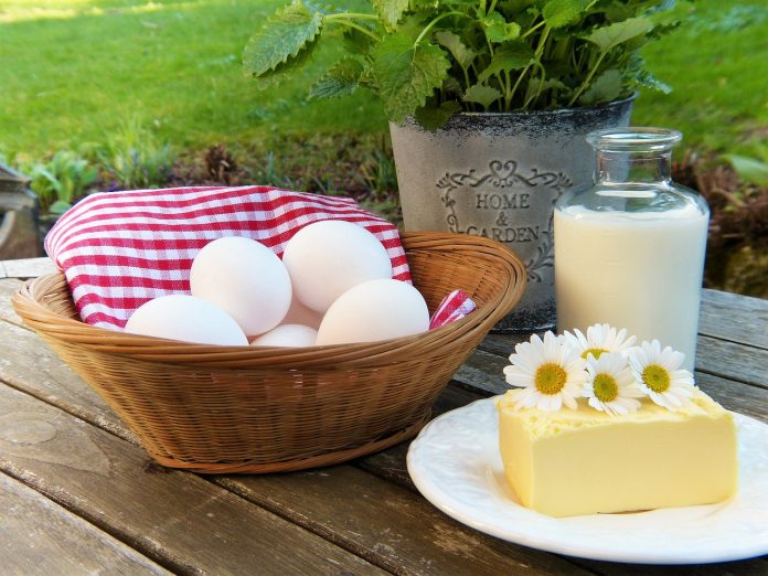 egg-2191991_1280