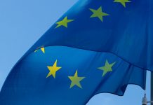 UE poate „simplifica” regulile de durabilitate, reducând domeniul de aplicare al cerințelor cheie Acidul ascorbic