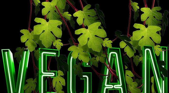 De ce alternativele vegetale la lapte câștigă teren în comparație cu „burgerii” fără carne care pierd lupta pentru consumatori vegetale, carne