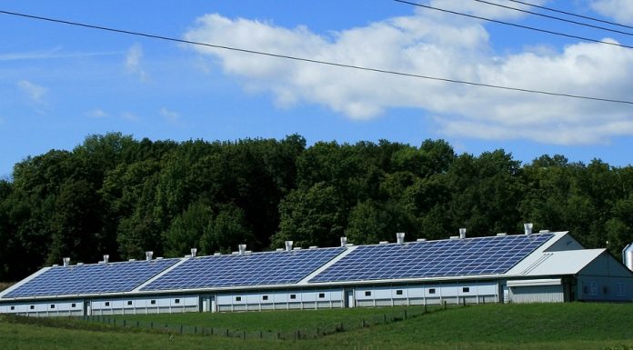 Fotovoltaicele și mobilitatea electrică formează un cuplu câștigător