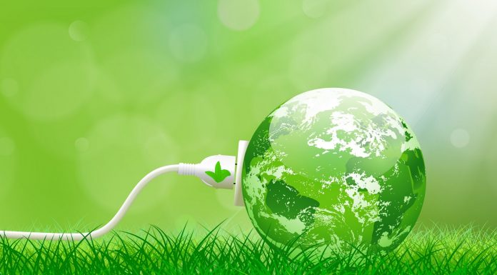 ESE 2026🔺Greenwashing în industria alimentară: Este eticheta ta cu adevărat „verde” sau un risc legal?