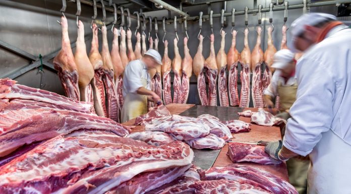 EFSA a constatat eficacitatea spalarii cu acid lactic pentru bucatile de carcase de porc porc