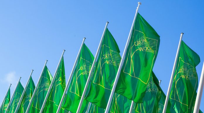 Cât de „verde” este produsul tău? Săptămâna Verde