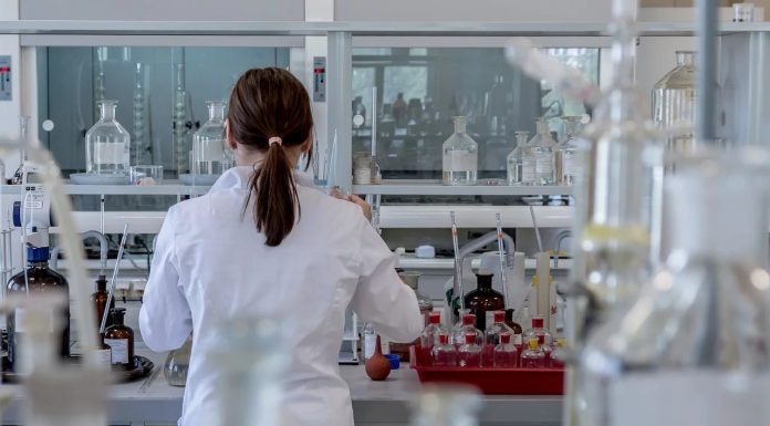 Securitatea alimentară schimbă regulile jocului. Noile tehnologii care ar putea transforma producția de hrană în următorii ani