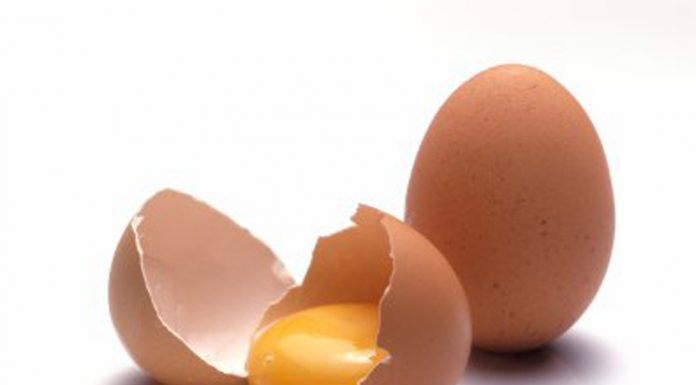 Următorul mare spațiu de dezvoltare în proteinele alternative ouă