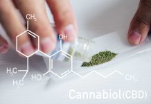 EFSA emite prima opinie pozitivă privind utilizarea CBD în alimentele din UE