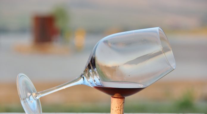 MNNS 2023: Vizită și degustare de licori la Podgoriile Murfatlar