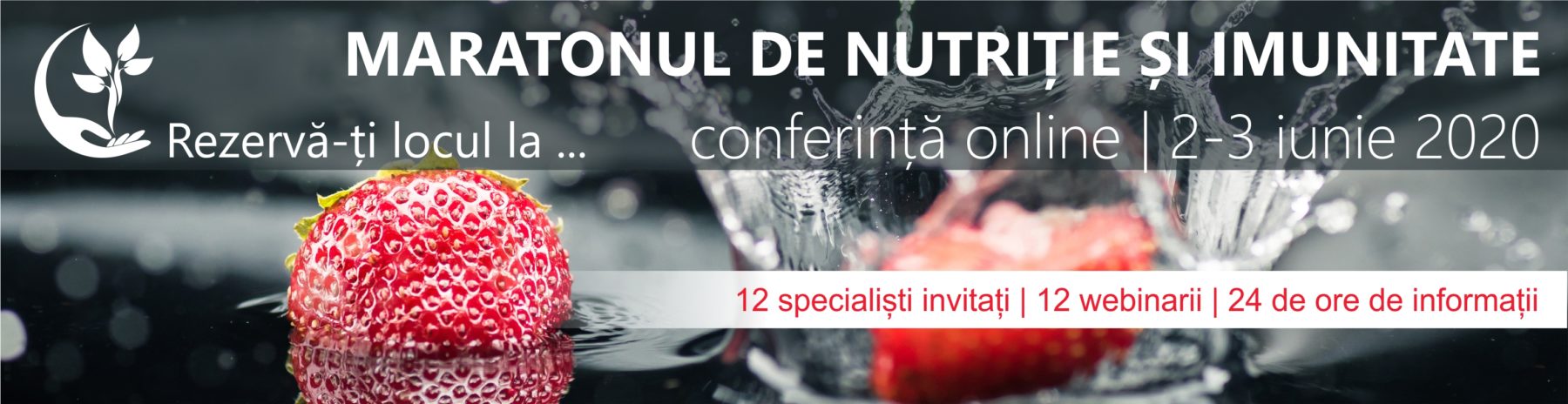 conferința