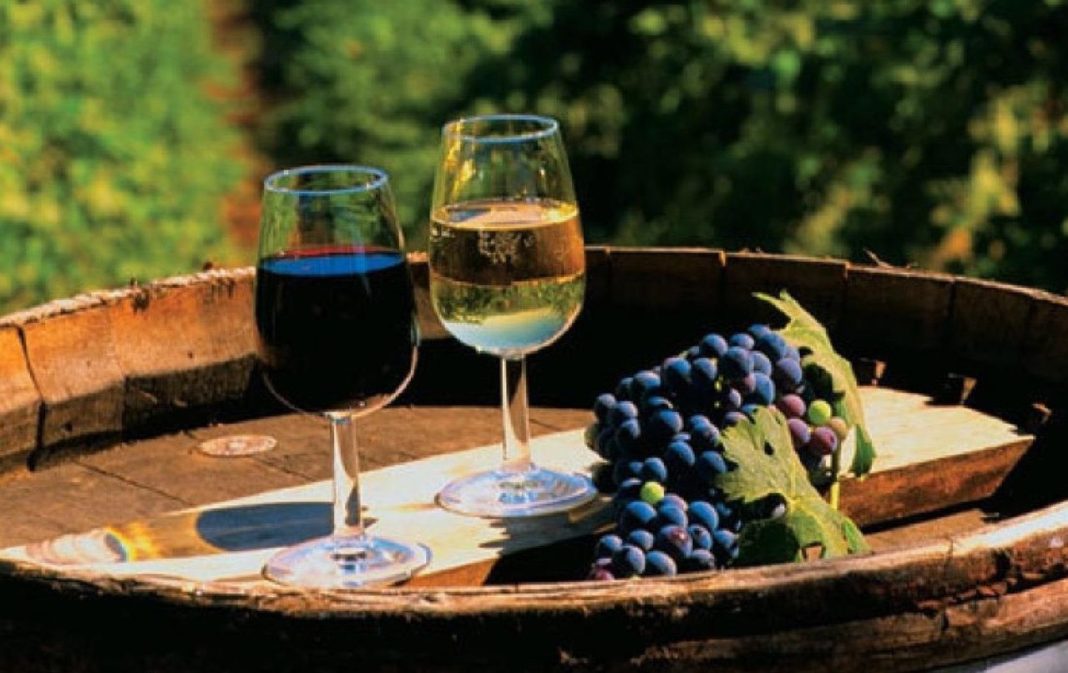 sectorul vinicol